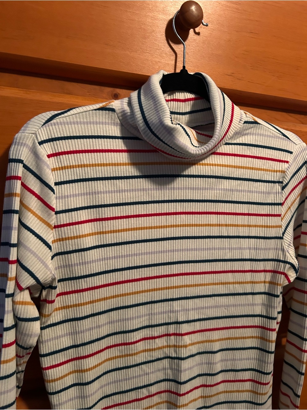 Hudson’s Bay Coloured Ribbed Turtleneck